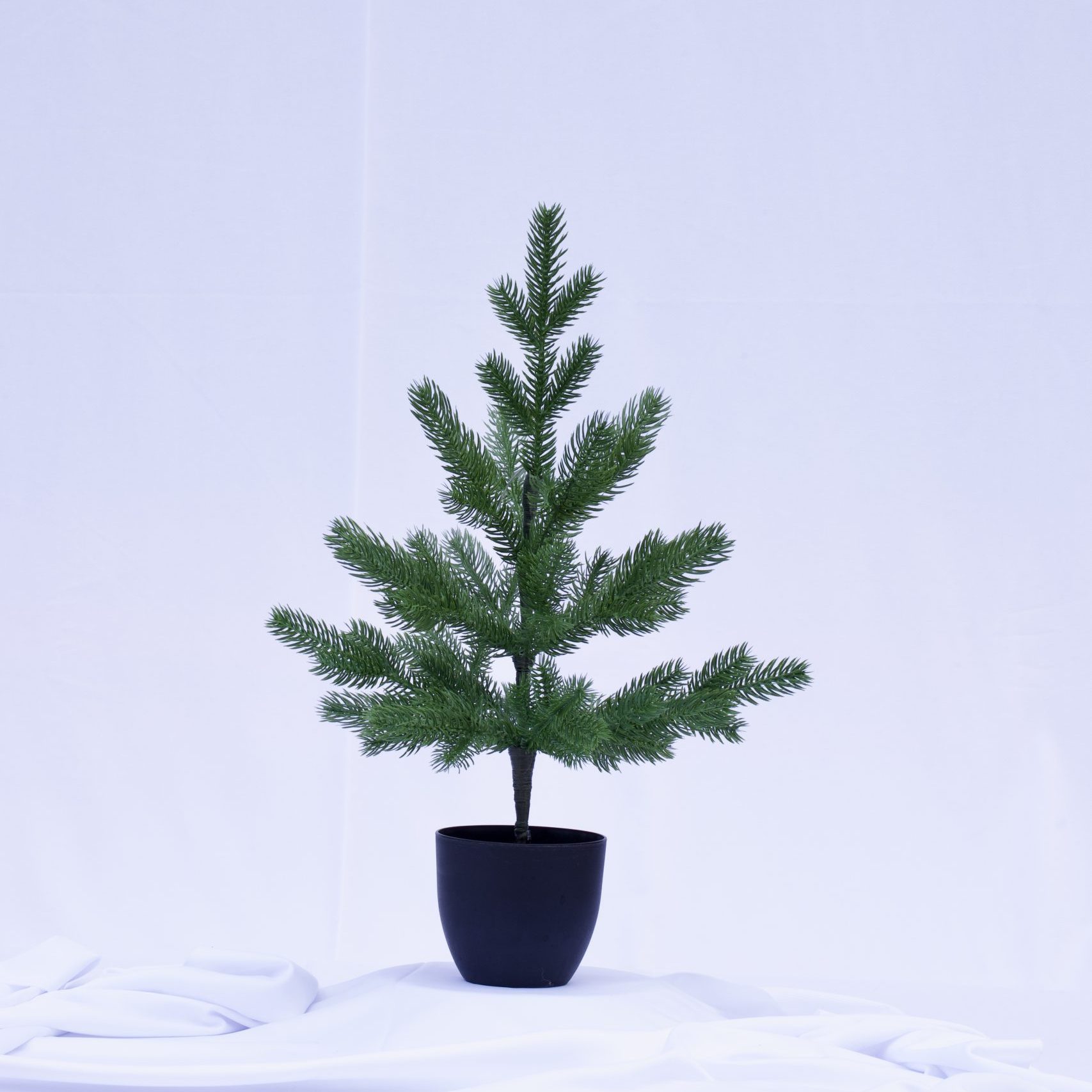 Cây thông noel PE để bàn cao 55cm
